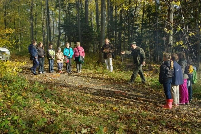 wspomogli-lesna-zwierzyne-bedzie-atwiej-przetrwac-zime-36875