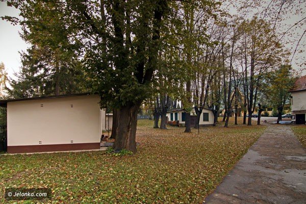 nekropolia-w-enklawie-wsrod-blokow-zabobrza-36891