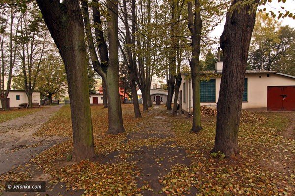nekropolia-w-enklawie-wsrod-blokow-zabobrza-36891