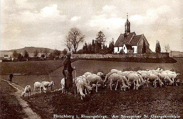 nekropolia-w-enklawie-wsrod-blokow-zabobrza-36891