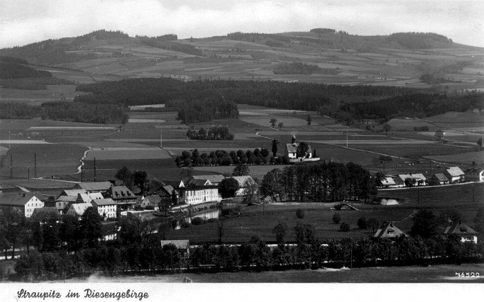 nekropolia-w-enklawie-wsrod-blokow-zabobrza-36891
