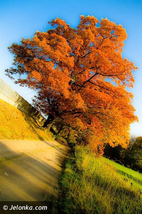 modzi-wedrowcy-poznali-okolice-staniszowa-36913