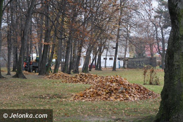 jesienne-porzadki-czas-zaczac-nie-palcie-lisci-37083