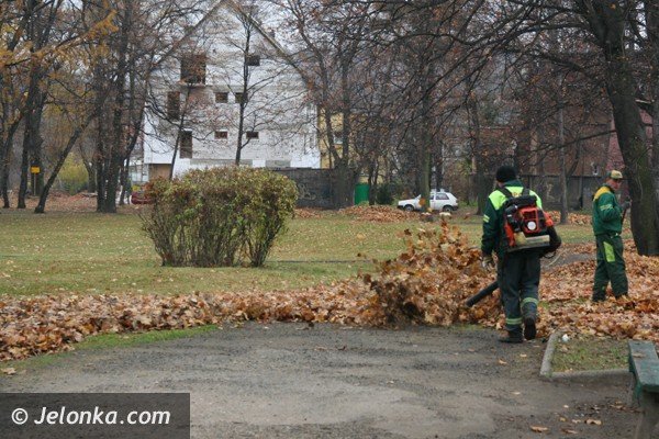 jesienne-porzadki-czas-zaczac-nie-palcie-lisci-37083