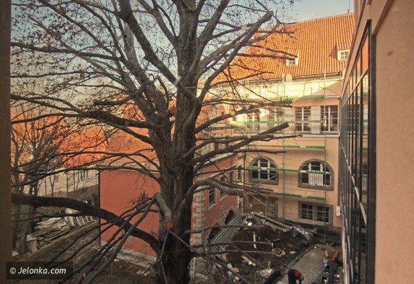 muzeum-zobacza-ogromne-rozbudowa-na-finiszu-37122