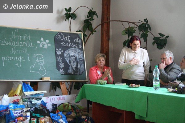 nie-kupuj-yorka-wez-sobie-azorka-akcja-norwida-dla-schroniska-37164
