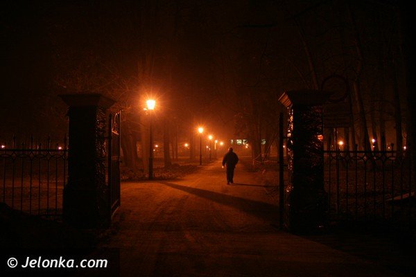 park-zdrojowy-noca-lsni-w-blasku-latarni-37225
