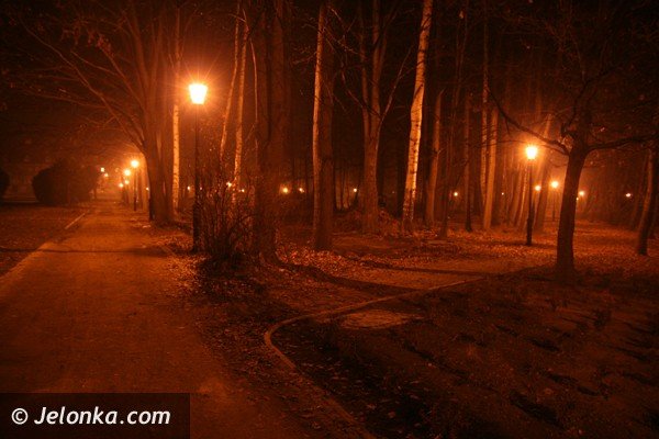 park-zdrojowy-noca-lsni-w-blasku-latarni-37225
