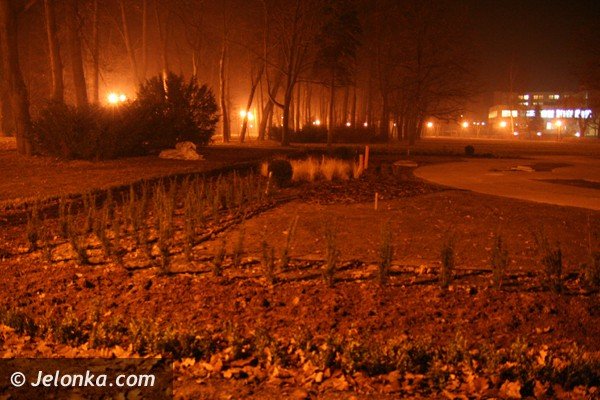 park-zdrojowy-noca-lsni-w-blasku-latarni-37225