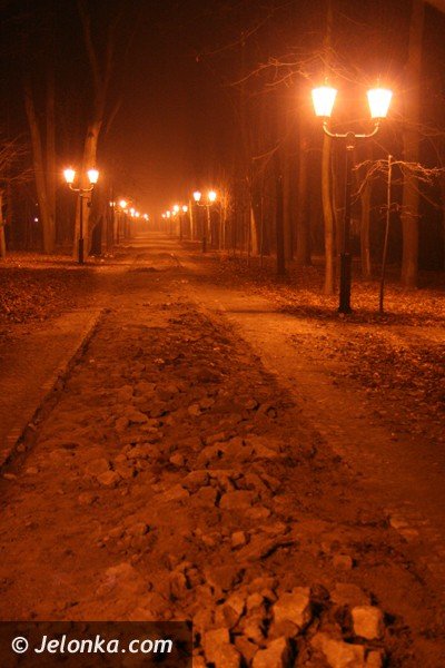 park-zdrojowy-noca-lsni-w-blasku-latarni-37225