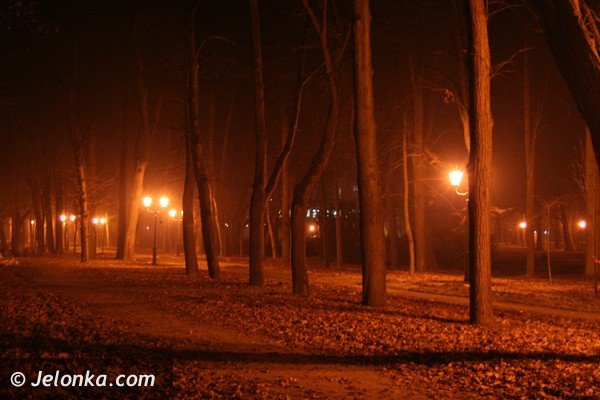 park-zdrojowy-noca-lsni-w-blasku-latarni-37225