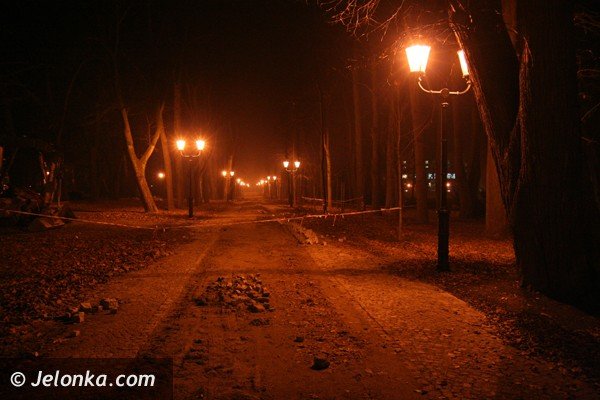 park-zdrojowy-noca-lsni-w-blasku-latarni-37225