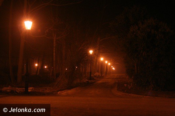 park-zdrojowy-noca-lsni-w-blasku-latarni-37225