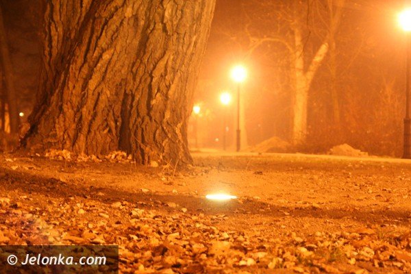 park-zdrojowy-noca-lsni-w-blasku-latarni-37225