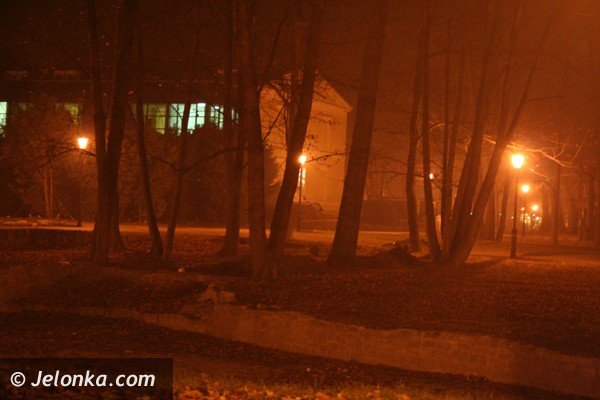 park-zdrojowy-noca-lsni-w-blasku-latarni-37225