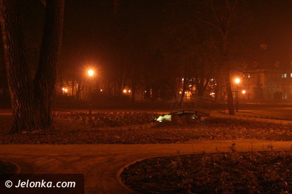 park-zdrojowy-noca-lsni-w-blasku-latarni-37225