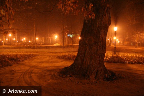park-zdrojowy-noca-lsni-w-blasku-latarni-37225