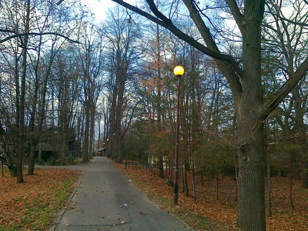 park-norweski-za-dnia-oswietlony-37342