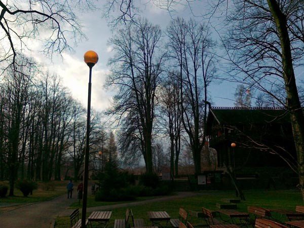 park-norweski-za-dnia-oswietlony-37342