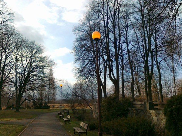 park-norweski-za-dnia-oswietlony-37342