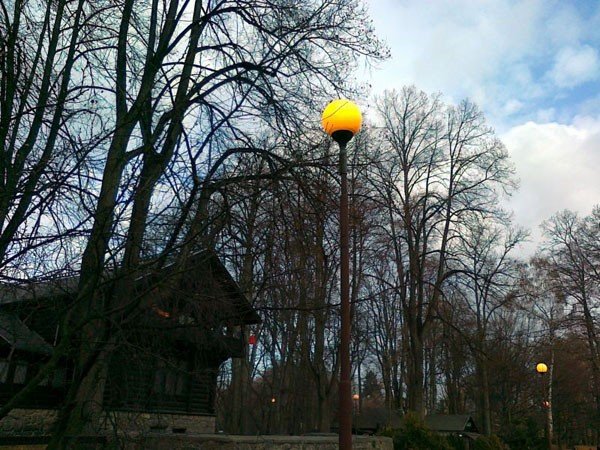 park-norweski-za-dnia-oswietlony-37342