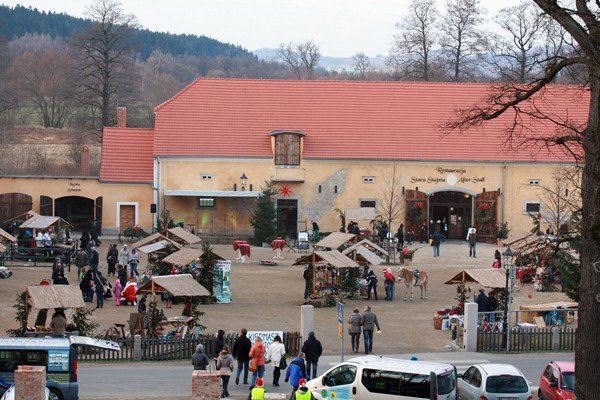 kucyki-pierniki-i-bombki-w-paacu-omnica-37560