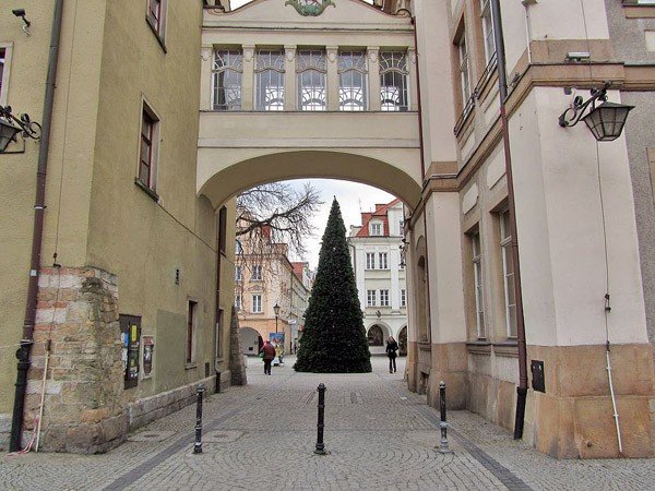 choinka-przed-ratuszem-czeka-na-ozdoby-37597