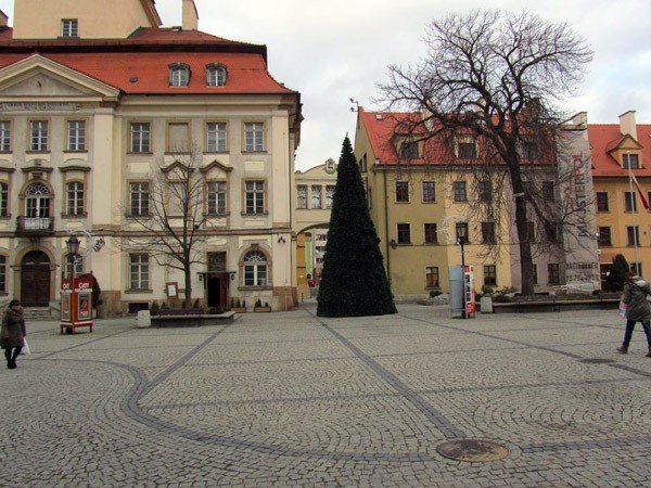 choinka-przed-ratuszem-czeka-na-ozdoby-37597
