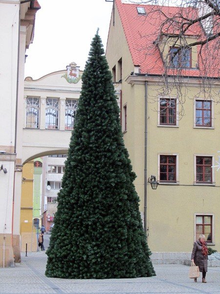 choinka-przed-ratuszem-czeka-na-ozdoby-37597