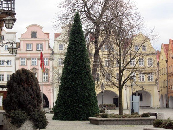 choinka-przed-ratuszem-czeka-na-ozdoby-37597