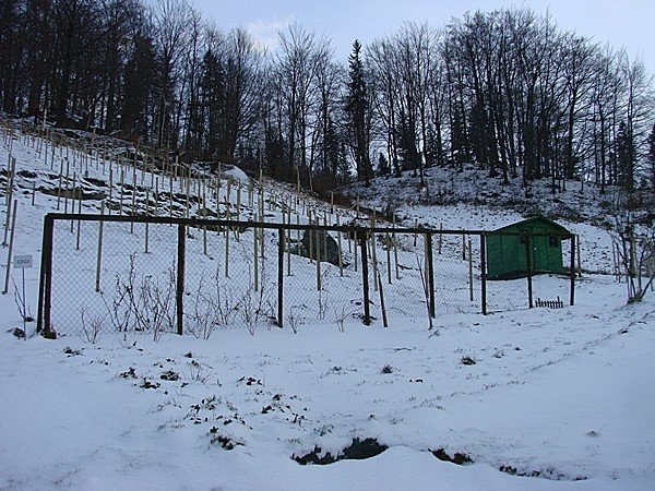 pierwsza-winnica-po-latach-beda-kolejne-37742