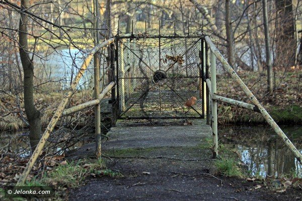 park-norweski-czeka-na-rewitalizacje-37861