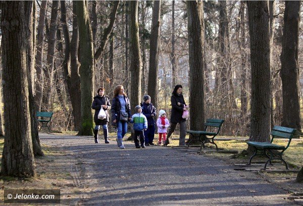 park-norweski-czeka-na-rewitalizacje-37861