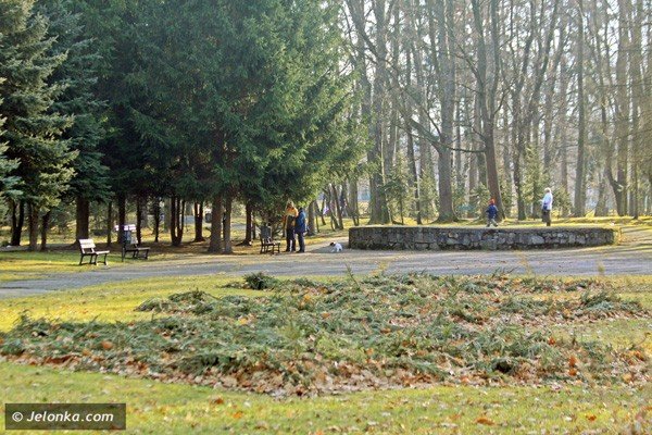 park-norweski-czeka-na-rewitalizacje-37861