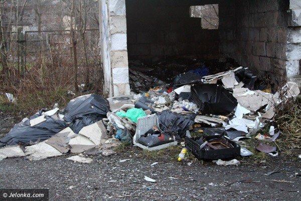 wysypiska-smieci-w-centrum-miasta-jak-urwac-eb-hydrze-37962