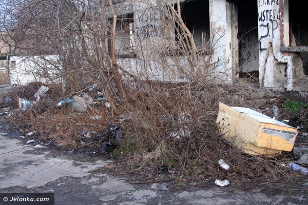 wysypiska-smieci-w-centrum-miasta-jak-urwac-eb-hydrze-37962