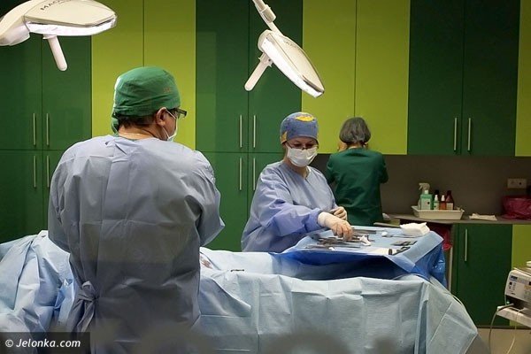 ruszyy-zabiegi-operacyjne-w-kcm-clinic-37969