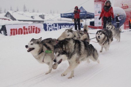 swiatowa-czoowka-na-podium-tegorocznych-gonitw-husqvarna-tour-38037