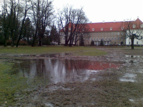 serce-uzdrowiska-w-bocie-bedzie-pieknie-za-10-lat-38052