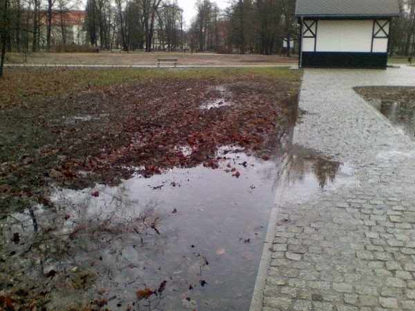 serce-uzdrowiska-w-bocie-bedzie-pieknie-za-10-lat-38052