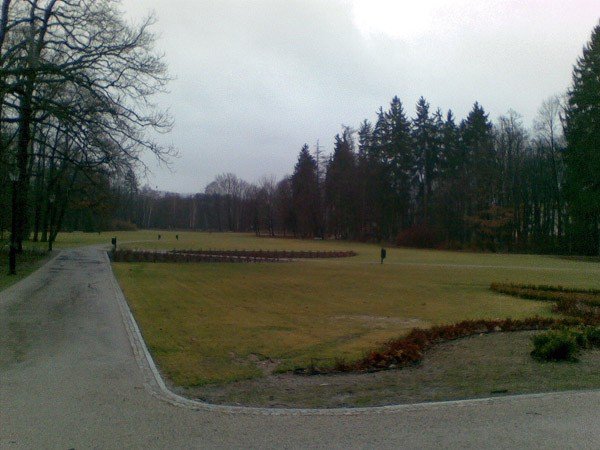 serce-uzdrowiska-w-bocie-bedzie-pieknie-za-10-lat-38052