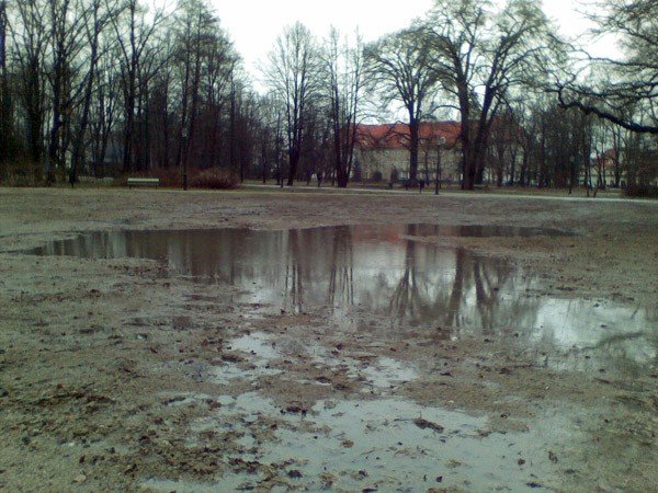 serce-uzdrowiska-w-bocie-bedzie-pieknie-za-10-lat-38052