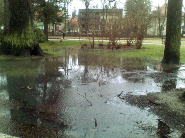 serce-uzdrowiska-w-bocie-bedzie-pieknie-za-10-lat-38052