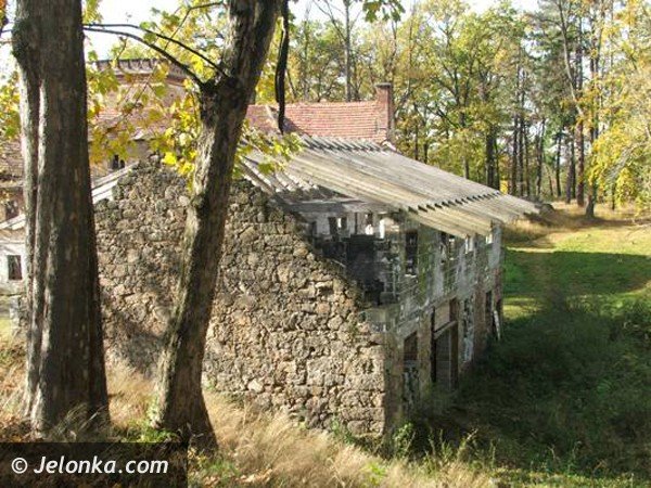 romantyczna-ruina-jak-z-filmow-grozy-38362