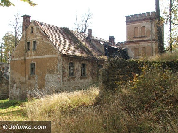 romantyczna-ruina-jak-z-filmow-grozy-38362