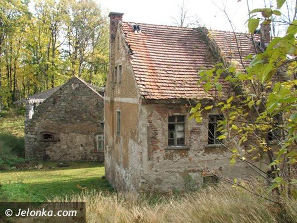 romantyczna-ruina-jak-z-filmow-grozy-38362