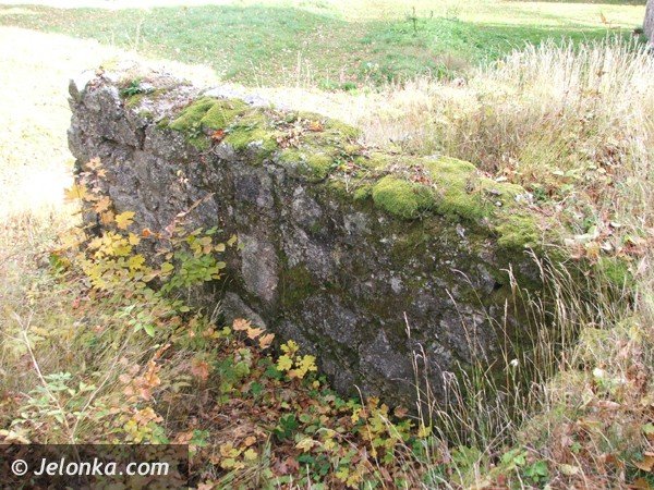 romantyczna-ruina-jak-z-filmow-grozy-38362