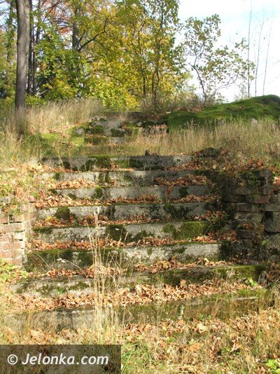 romantyczna-ruina-jak-z-filmow-grozy-38362