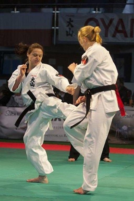 wystartowaa-jeleniogorska-liga-oyama-w-walkach-penokontaktowych-38627