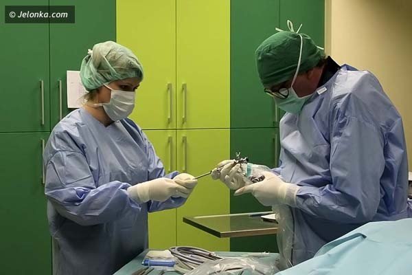 maoinwazyjna-chirurgie-kregosupa-zainaugurowano-w-kcm-clinic-38703